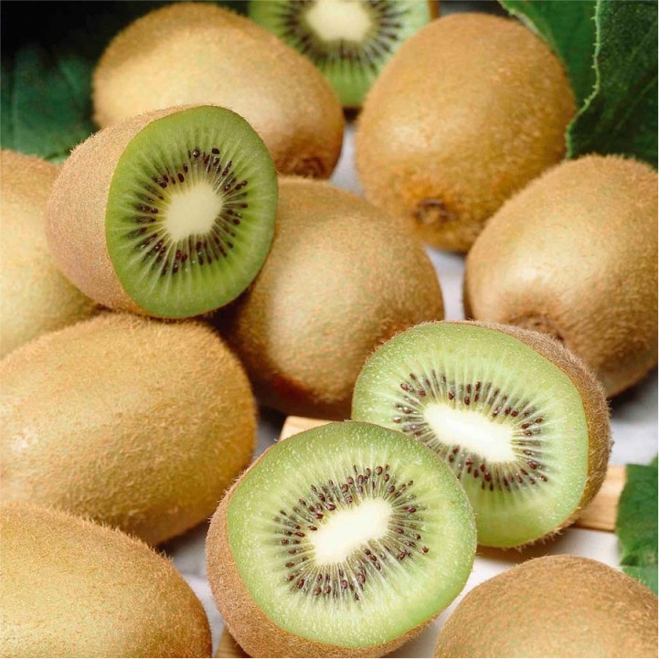 Kiwi