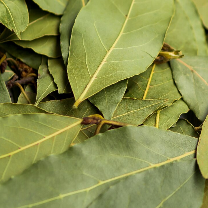 Bay Leaf
