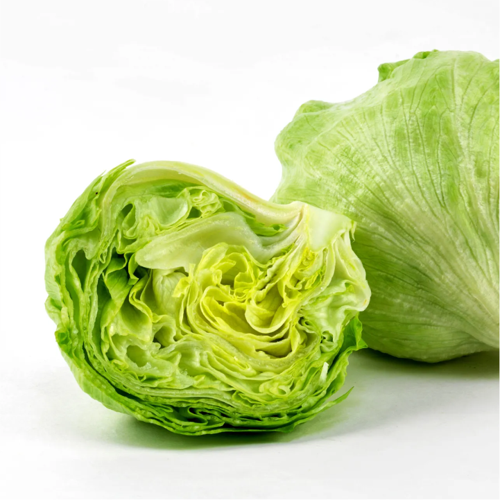 Iceberg Lettuce