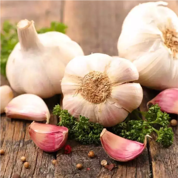 Garlic
