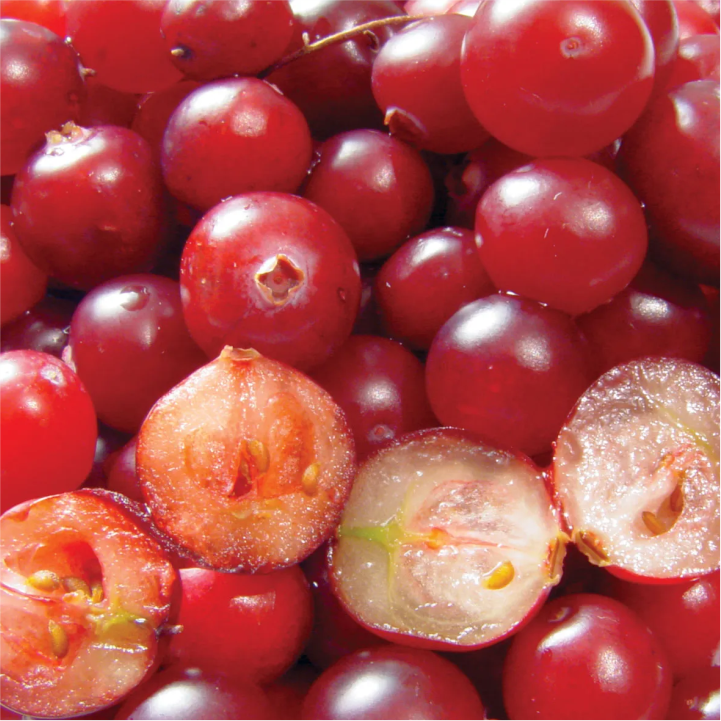 Cranberry