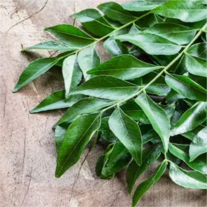 Curry Leaves