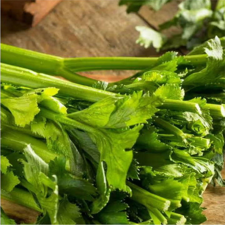 Celery