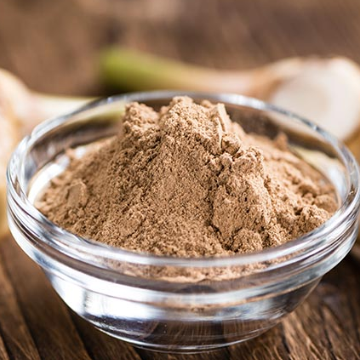 Galangal Powder