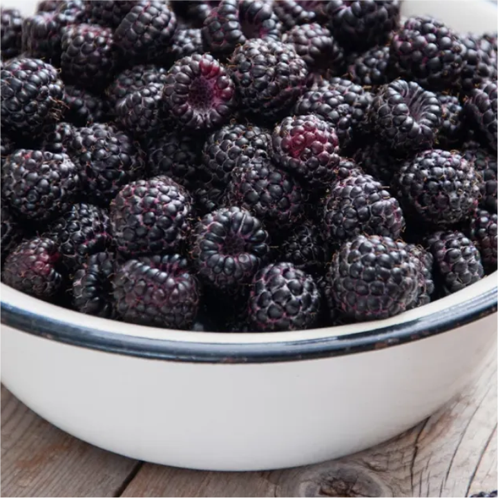Blackberries