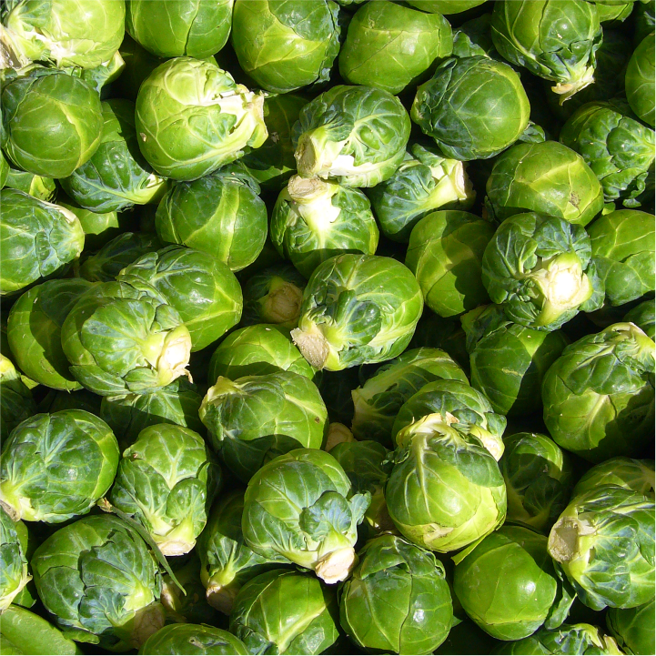 Brussels Sprouts