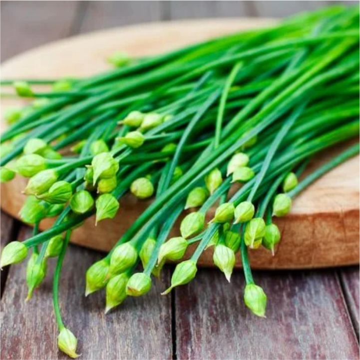 Chives