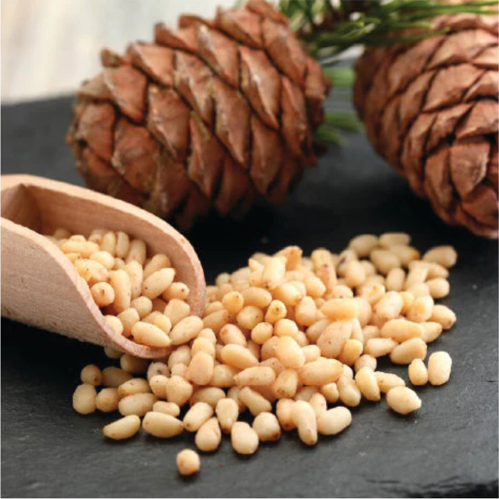 Pine Nuts